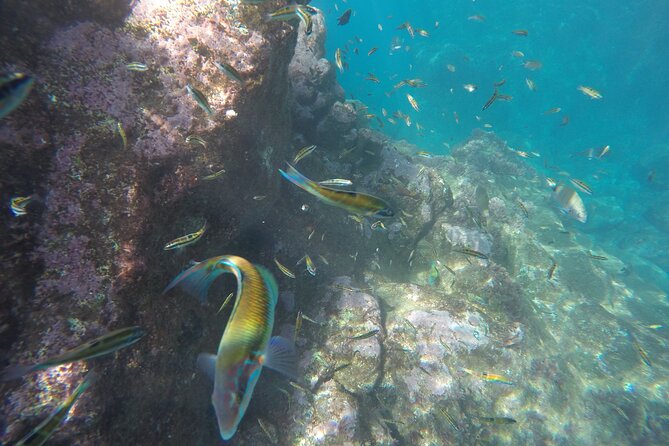 Kayak and Snorkeling Tour in Underwater Nature Reserve Garajau - Weather, cancellations, and practical planning