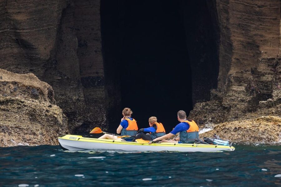 Kayak Guided Tour: Vila Franca do Campo Islet - Swimming, snorkeling, and wildlife