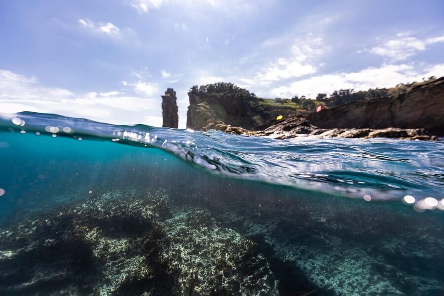 Kayak Guided Tour: Vila Franca do Campo Islet - The return paddle and what the effort feels like