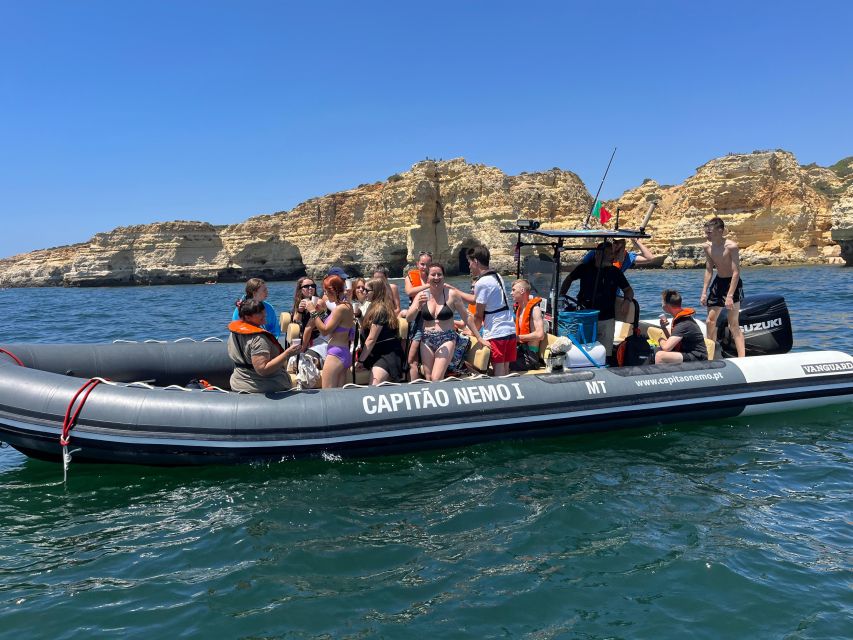 Lagoa: Dolphins Expedition with biologist guide on board - What the $82 price really covers