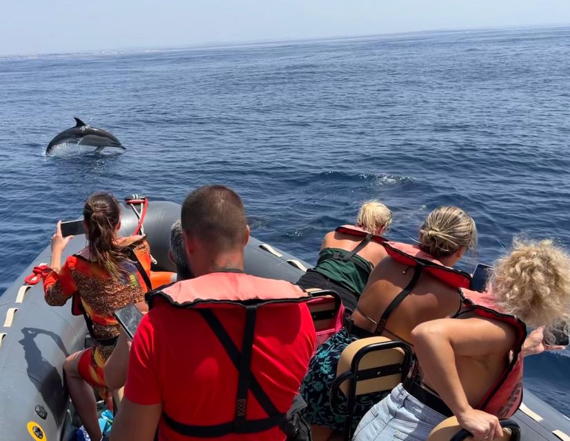 Lagoa: Dolphins Expedition with biologist guide on board - The 10-minute safety briefing