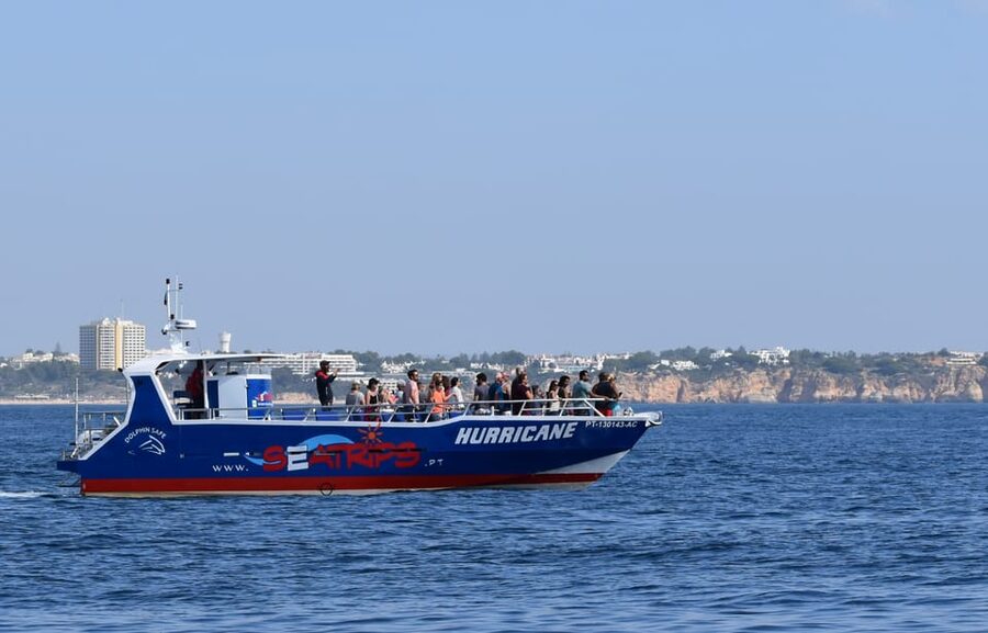 Lagos: Combo Dolphin and Benagil Tour with Marine Biologist - FAQ