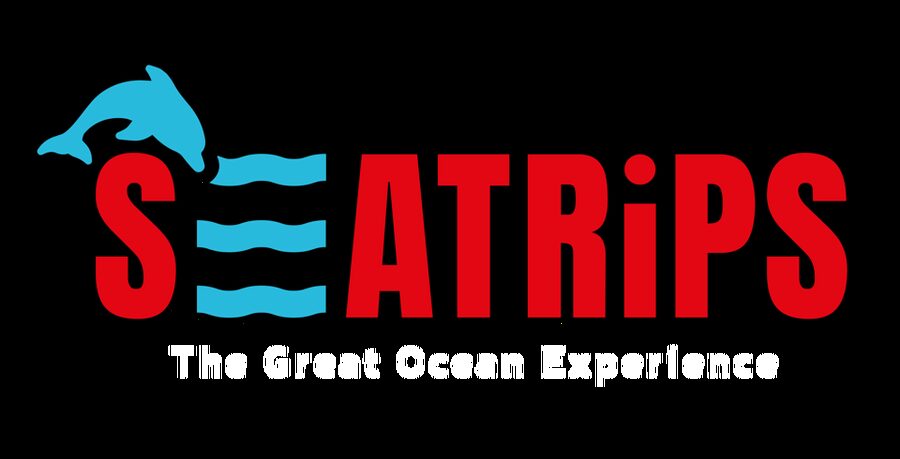 Lagos: Combo Dolphin and Benagil Tour with Marine Biologist - Lagos Marina to the open Atlantic