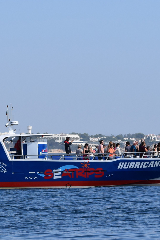 Lagos: Combo Dolphin and Benagil Tour with Marine Biologist - The Algarve cliffs from the water