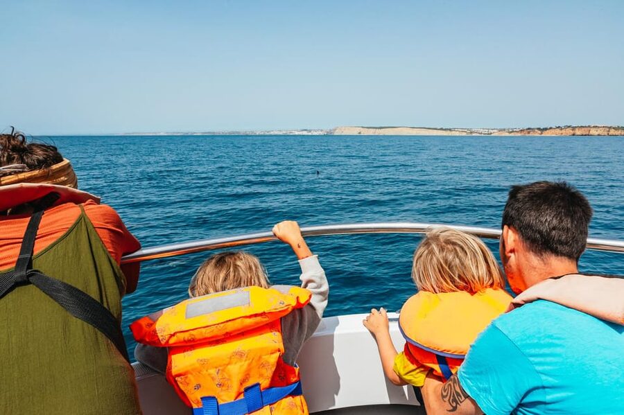 Lagos: Dolphin Watch Tour with Professional Marine Biologist - Key points to know before you book