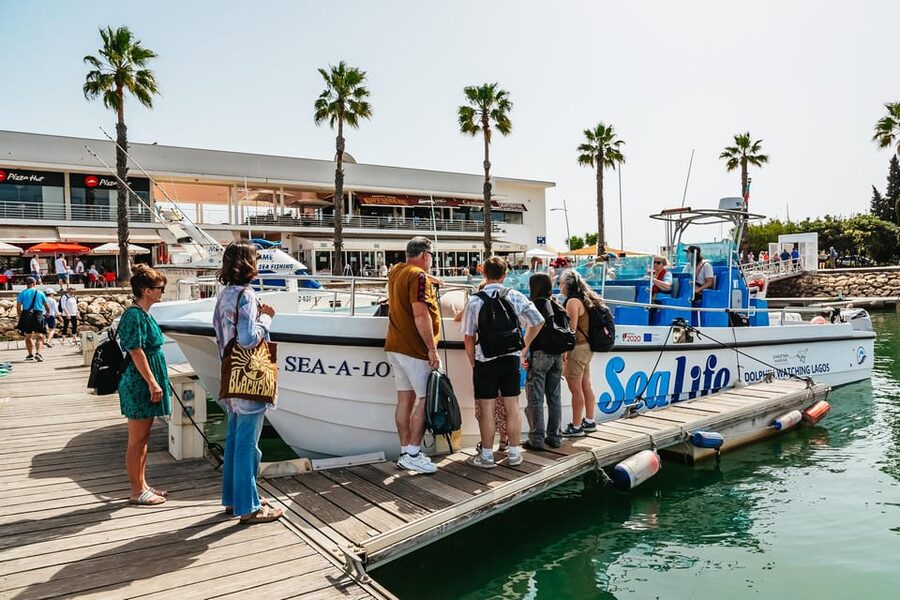 Lagos: Dolphin Watch Tour with Professional Marine Biologist - Cancellation and planning details