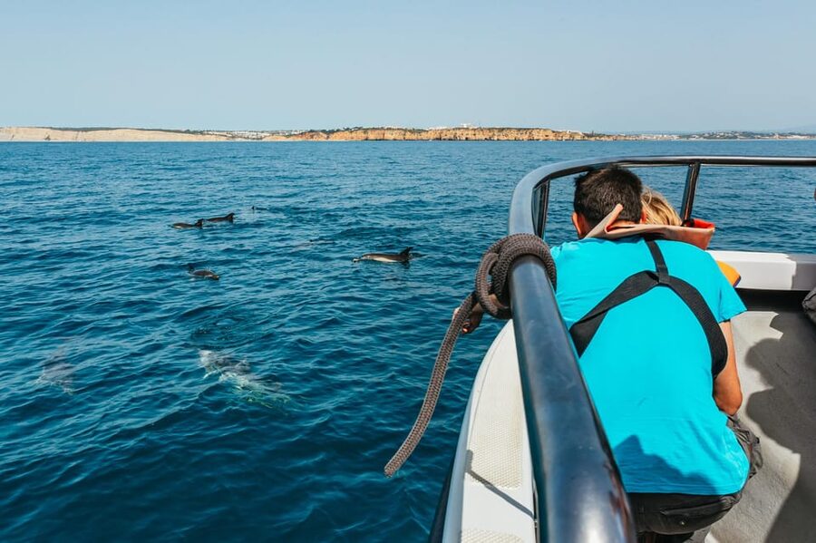 Lagos: Dolphin Watch Tour with Professional Marine Biologist - Watching pods without chasing the spectacle