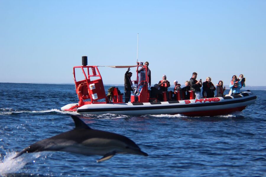 Lagos: Dolphin Watching with Professional Marine Biologists - Leaving Lagos Marina on the Tornado RIB
