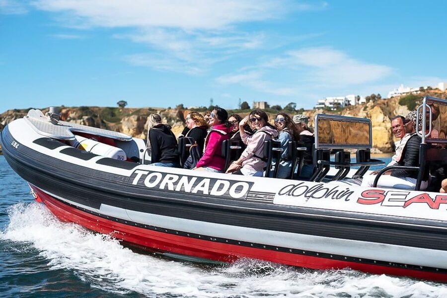 Lagos: Dolphin Watching with Professional Marine Biologists - The $40 price and what you get