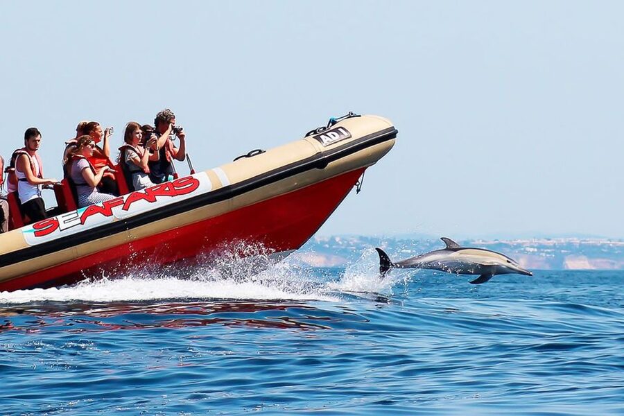 Lagos: Dolphin Watching with Professional Marine Biologists - Should you book this Lagos dolphin tour?