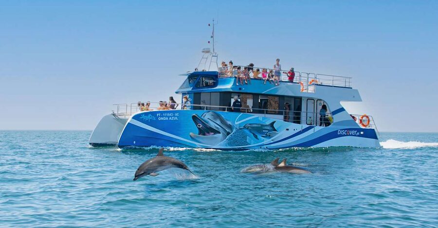 Lagos: Dolphins & Caves - Catamaran - Setting out from Lagos Marina