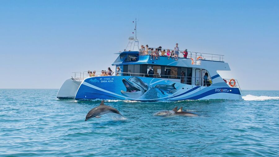 Lagos: Dolphins & Caves - Catamaran - Searching for dolphins in open water