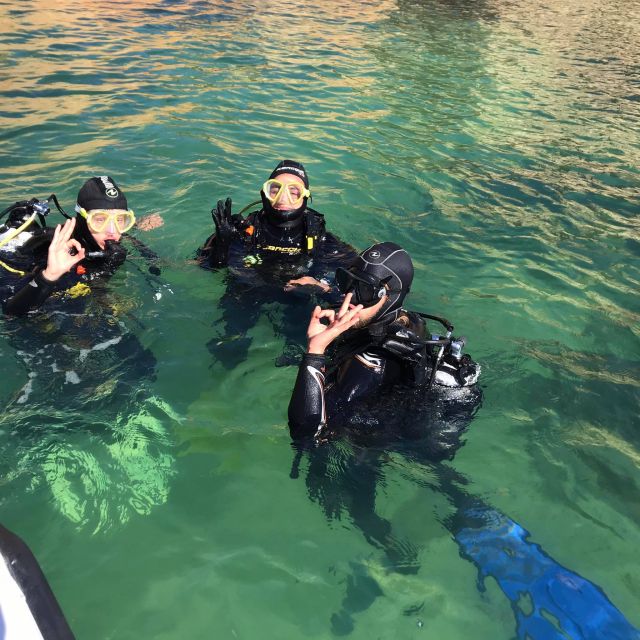 Lagos: Guided Scuba Diving Trip for Beginners - Thirty-five minutes among fish and rocky bays