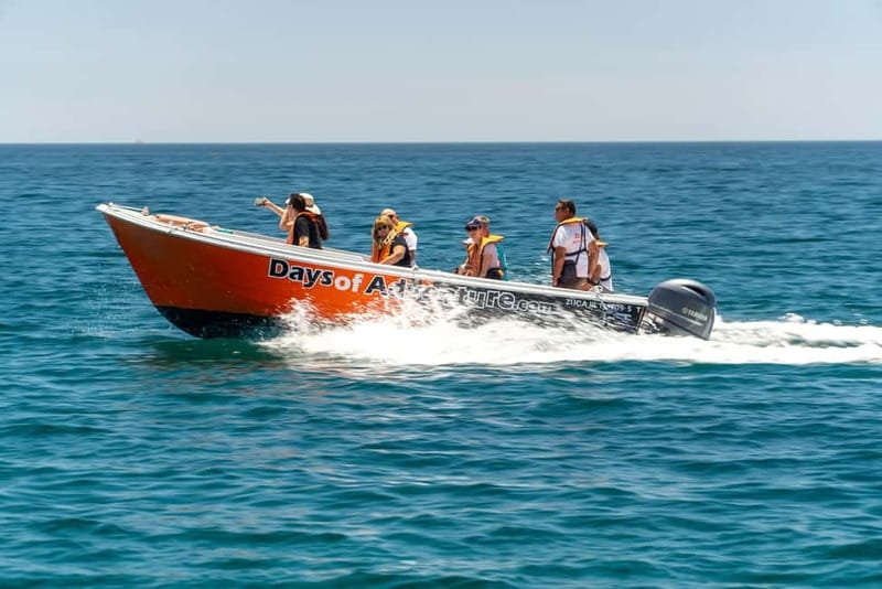 Lagos: Ponta da Piedade Caves Boat Tour - Sea conditions, comfort, and what to wear