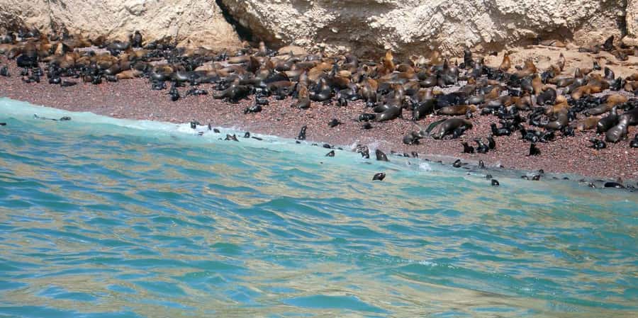 Lagos/Praia da Luz: Wine Tour, Tastings, Tapas, and Music - Is $68 good value?