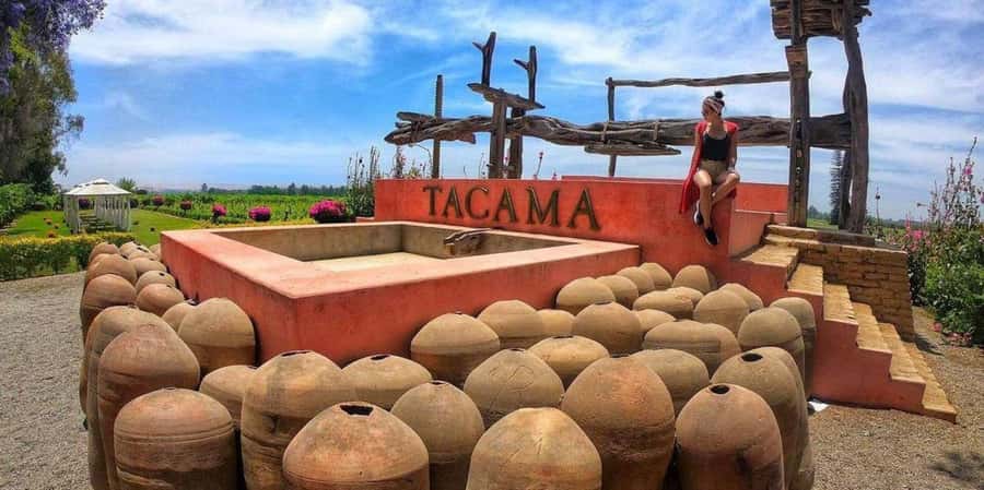 Lagos/Praia da Luz: Wine Tour, Tastings, Tapas, and Music - Browsing the shop for Algarve products