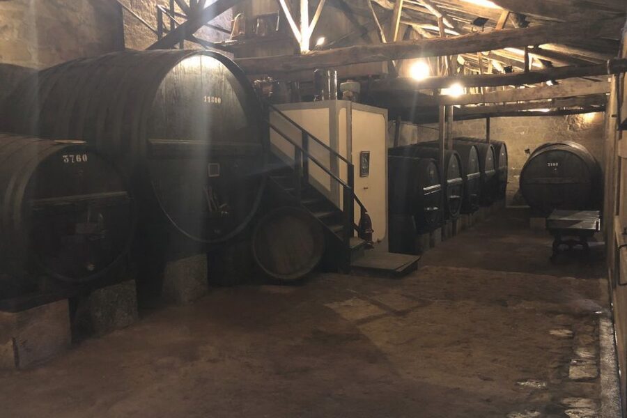 Lamego: Quinta da Portela de Baixo Winery Tour and Tasting - Key points to know before you go