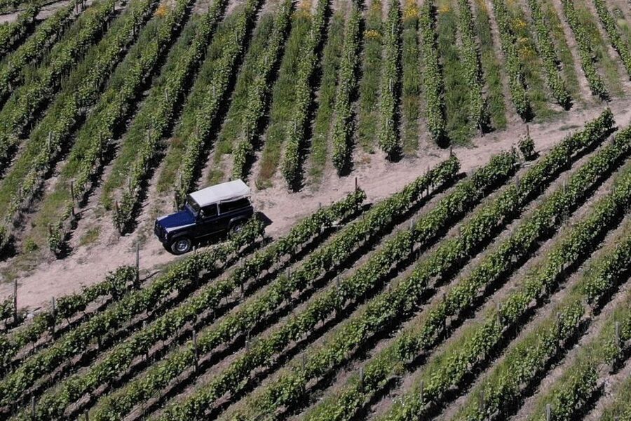 Lamego: Quinta da Portela de Baixo Winery Tour and Tasting - Six glasses, generous pours, and local food