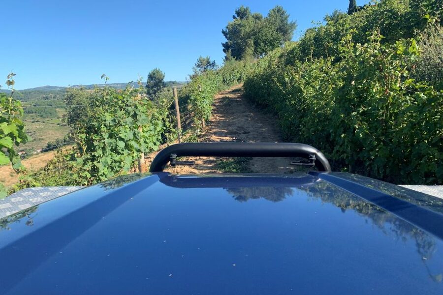 Lamego: Quinta da Portela de Baixo Winery Tour and Tasting - What the wine tasting feels like