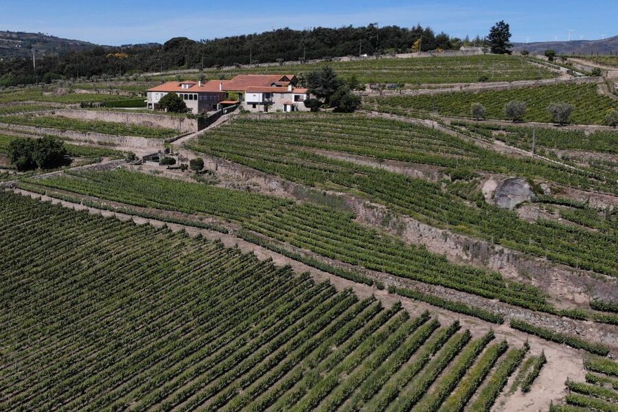 Lamego: Quinta da Portela de Baixo Winery Tour and Tasting - Is $35 a fair price?