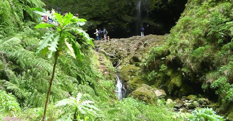Levada Walk and Caldeirao Verde Waterfalls: Madeira - What the 4.5-hour walk feels like