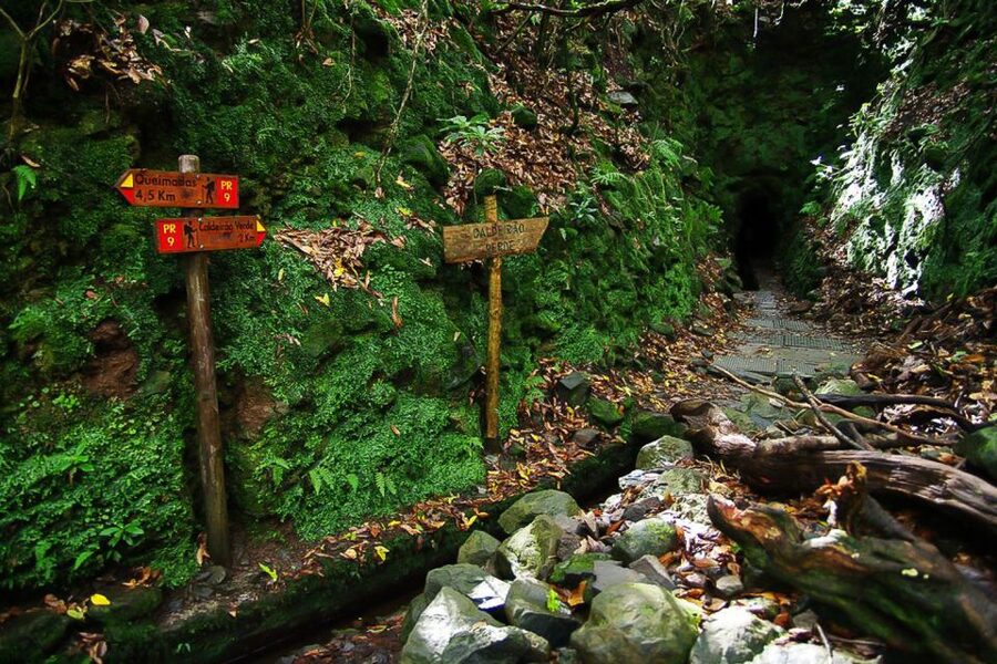 Levada Walk and Caldeirao Verde Waterfalls: Madeira - Reaching Caldeirão Verde waterfall