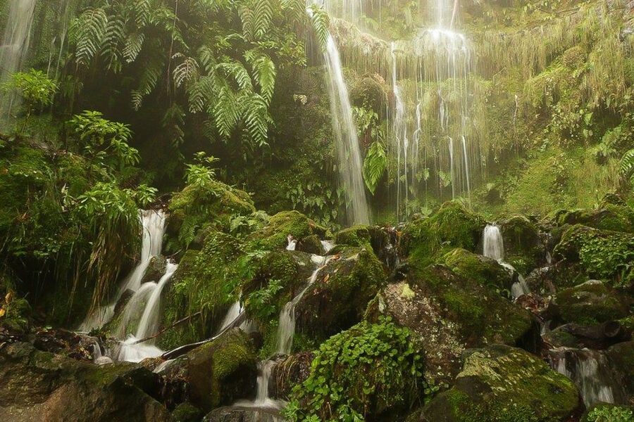 Levada Walk and Caldeirao Verde Waterfalls: Madeira - Three tunnels and plenty of water