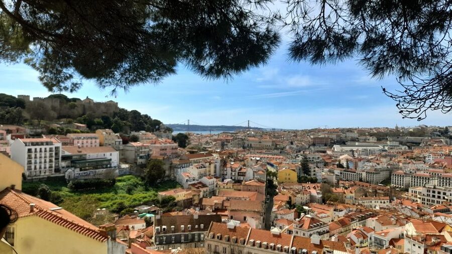 Lisbon: 3-Hour Sightseeing Tour by Tuk-Tuk - Who will get the most from this tour