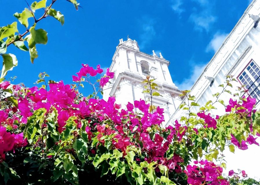 Lisbon: 7 Hills Panoramic Guided Tour by E-Bike - Graça and the older side of Lisbon