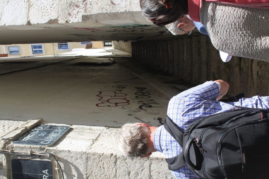 Lisbon: Alfama and São Jorge Castle Quarters Walking Tour - What the guide adds to the experience