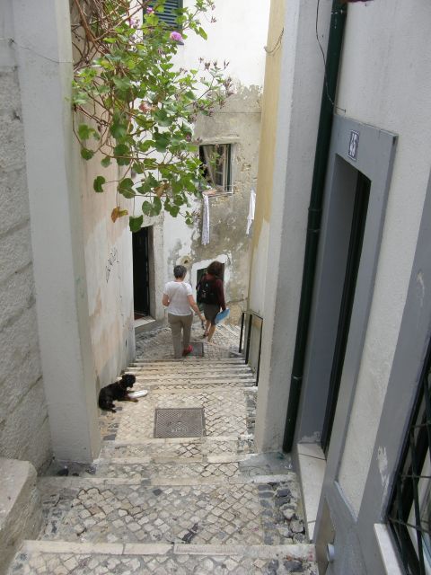 Lisbon: Alfama and São Jorge Castle Quarters Walking Tour - Roman salt tanks and the city called Olisipo