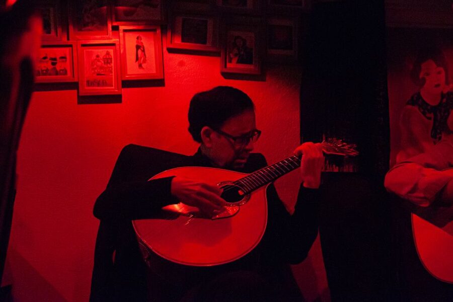 Lisbon: Alfama Tour and Live Fado with Traditional Dinner - Why this evening works as a first taste of Fado