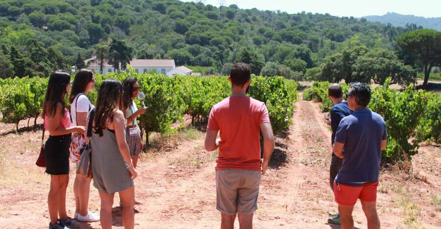 Lisbon: Arrábida and Sesimbra Day Trip with Wine - Why this route works so well from Lisbon