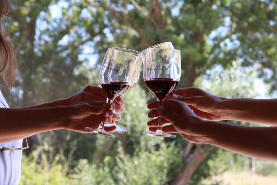 Lisbon: Arrábida and Sesimbra Day Trip with Wine - A family wine estate in the Azeitão area