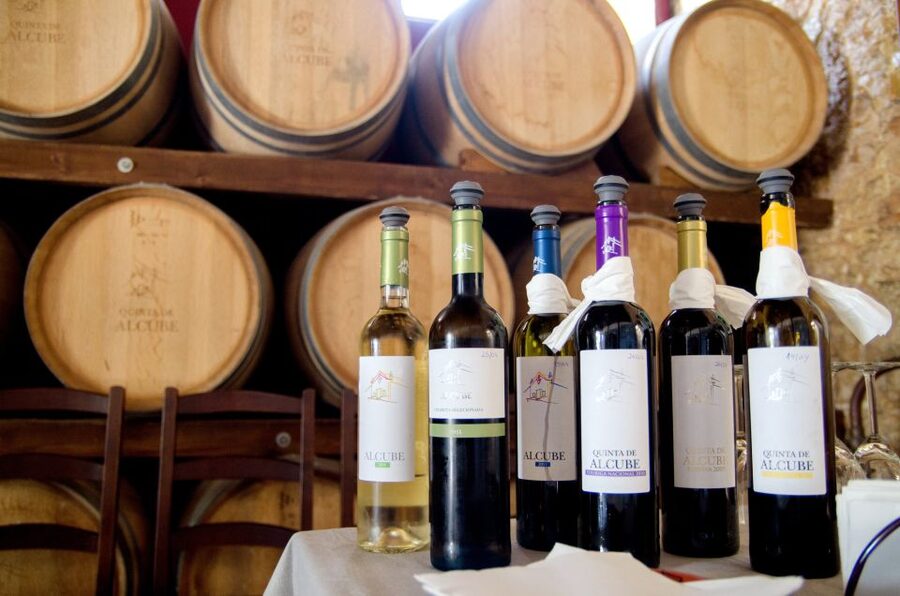Lisbon: Arrábida and Sesimbra Day Trip with Wine - Sesimbra for seafood and free time