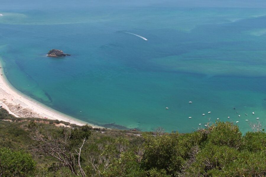 Lisbon: Arrábida and Sesimbra Day Trip with Wine - Guides, vans, and group size