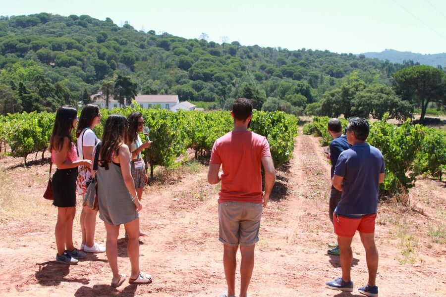 Lisbon: Arrábida and Sesimbra Day Trip with Wine - Palmela and the castle-country views