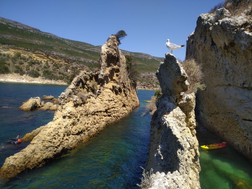 Lisbon: Arrábida Kayak and Coasteering Adventure Tour - What the $147 price includes
