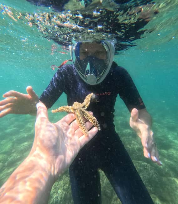 Lisbon: Arrábida Kayak & Wild Beach Snorkeling with Pickup - Who will enjoy this trip most