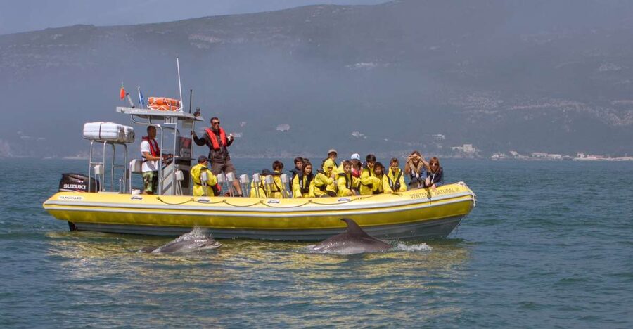 Lisbon: Arrábida Natural Park Dolphin Watching Boat Tour - Boarding the semi-inflatable boat