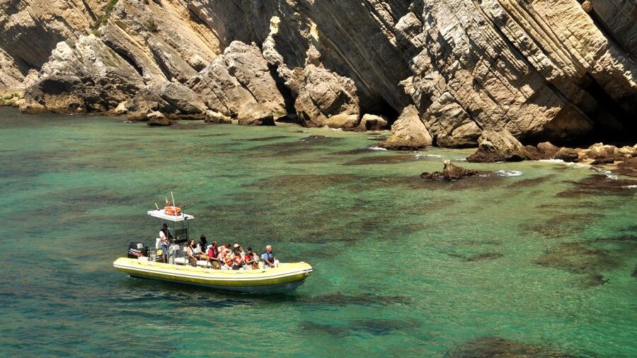 Lisbon: Arrábida Natural Park Dolphin Watching Boat Tour - Guide quality and the feel of the outing