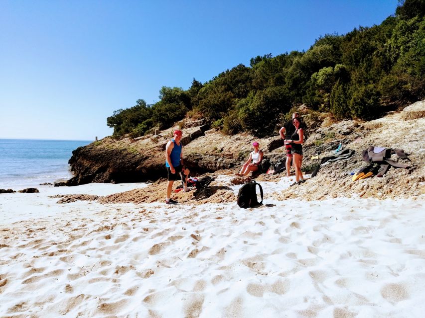 Lisbon: Arrábida Snorkeling Adventure - Key points to know before booking