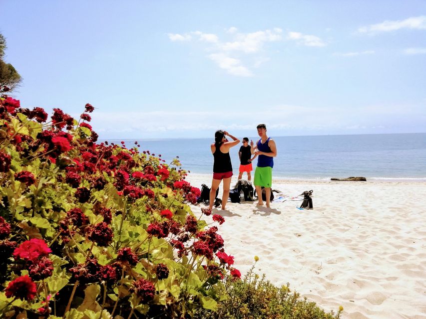 Lisbon: Arrábida Snorkeling Adventure - Should you book the Arrábida Snorkeling Adventure?
