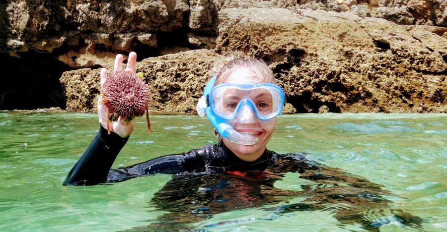 Lisbon: Arrábida Snorkeling Adventure - From Lisbon Zoo to Arrábida’s Atlantic coast