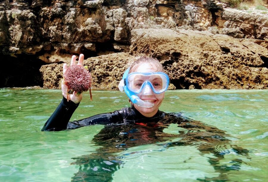 Lisbon: Arrábida Snorkeling Adventure - What the snorkeling session is really like