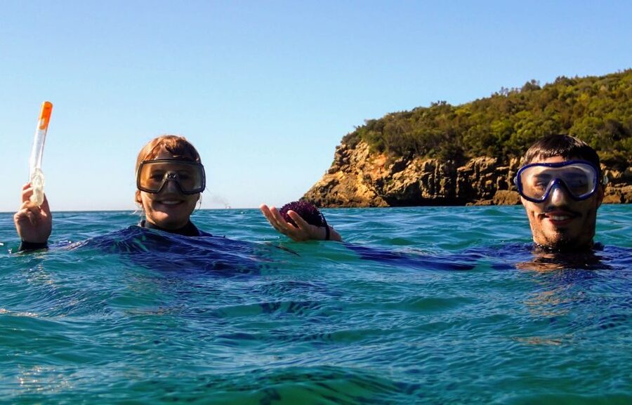 Lisbon: Arrábida Snorkeling Adventure - Caves, rocky bottoms, and a quiet beach