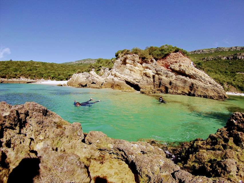 Lisbon: Arrábida Snorkeling Adventure - How the $94 price measures up