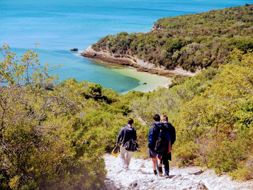 Lisbon: Arrábida Snorkeling Adventure - Arrábida’s cliffs, valleys, and beaches