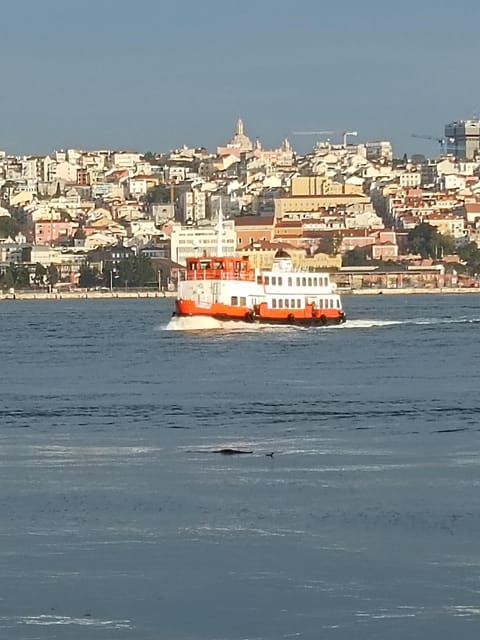 Lisbon: Belem, Jeronimos Monastery, and Coach Museum Tour - Who should book this Belém tour?