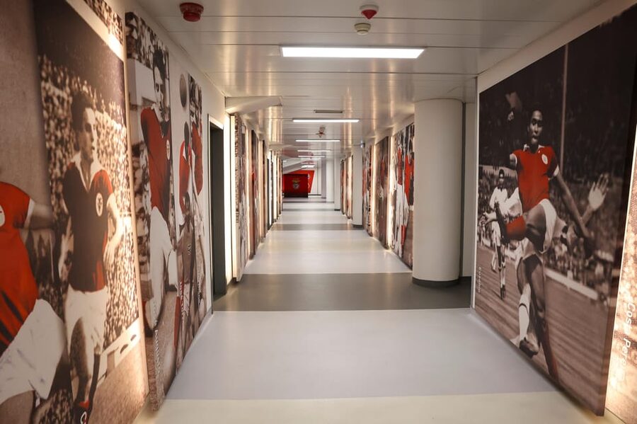 Lisbon: Benfica Luz Stadium Tour with Souvenir Scarf - Walking onto the field used for the 2014 final